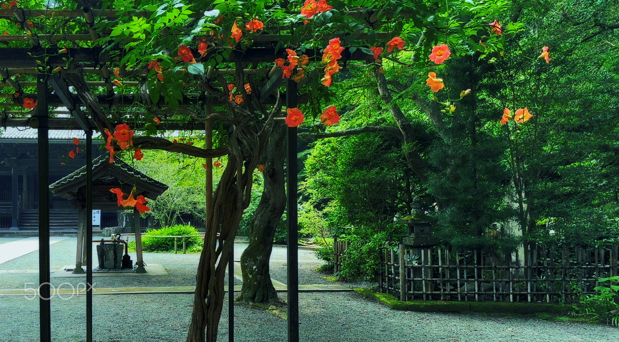 A summer morning at an ancient temple.