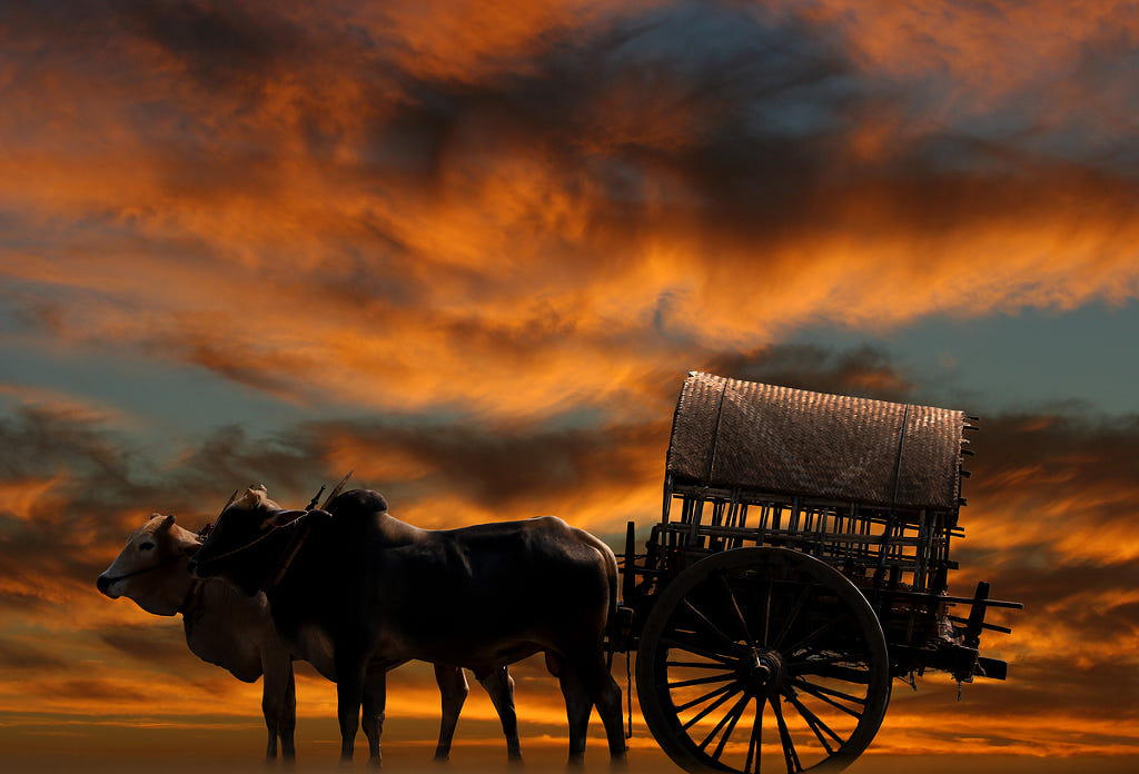 Old Fishing Boat on Land Symbolizing Nostalgia and History | still life ...