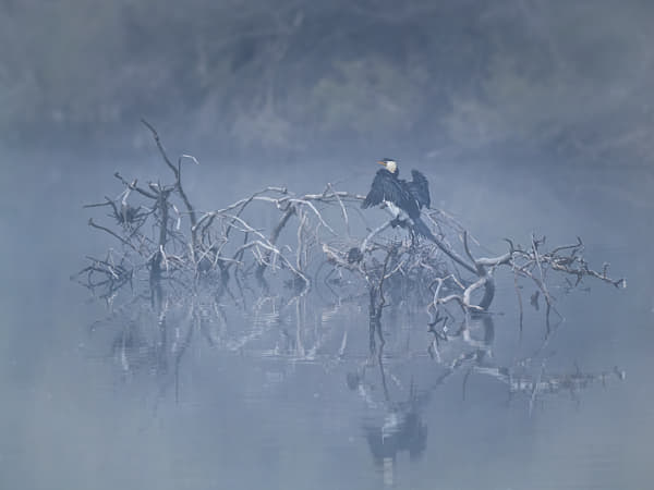 Kakak by Paul Amyes on 500px.com