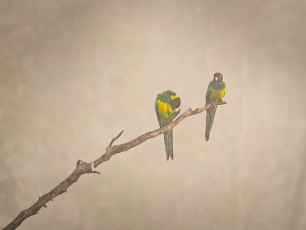 Doornart by Paul Amyes on 500px.com