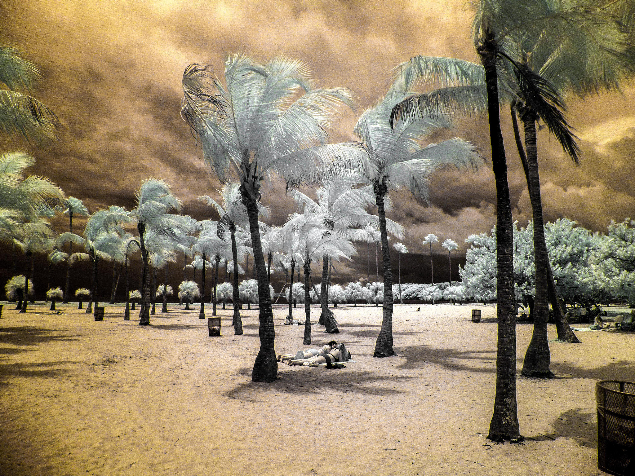 Panasonic DMC-SZ7 sample photo. Beach scene infrared (of ) photography