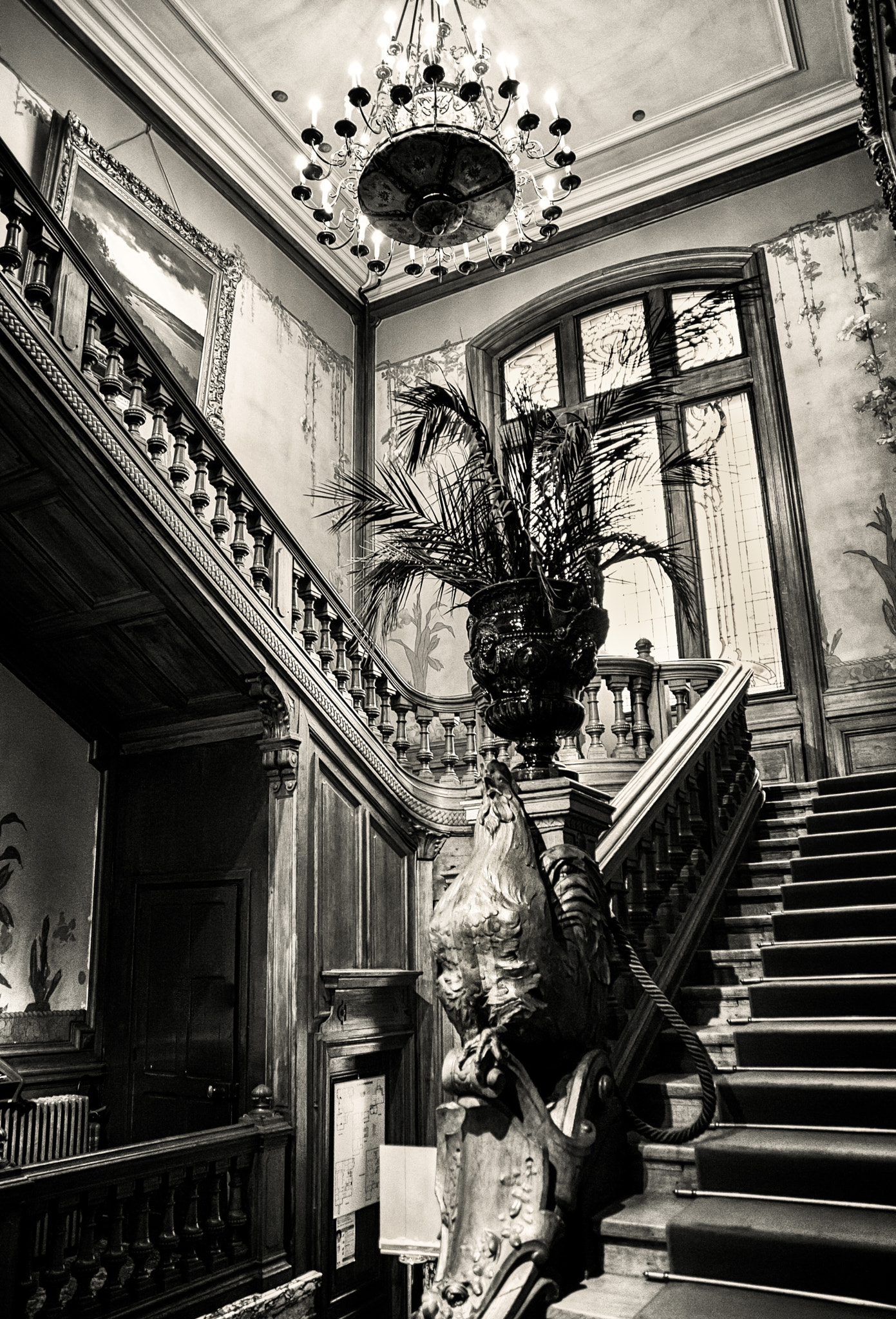 Rooster guarding the stairway