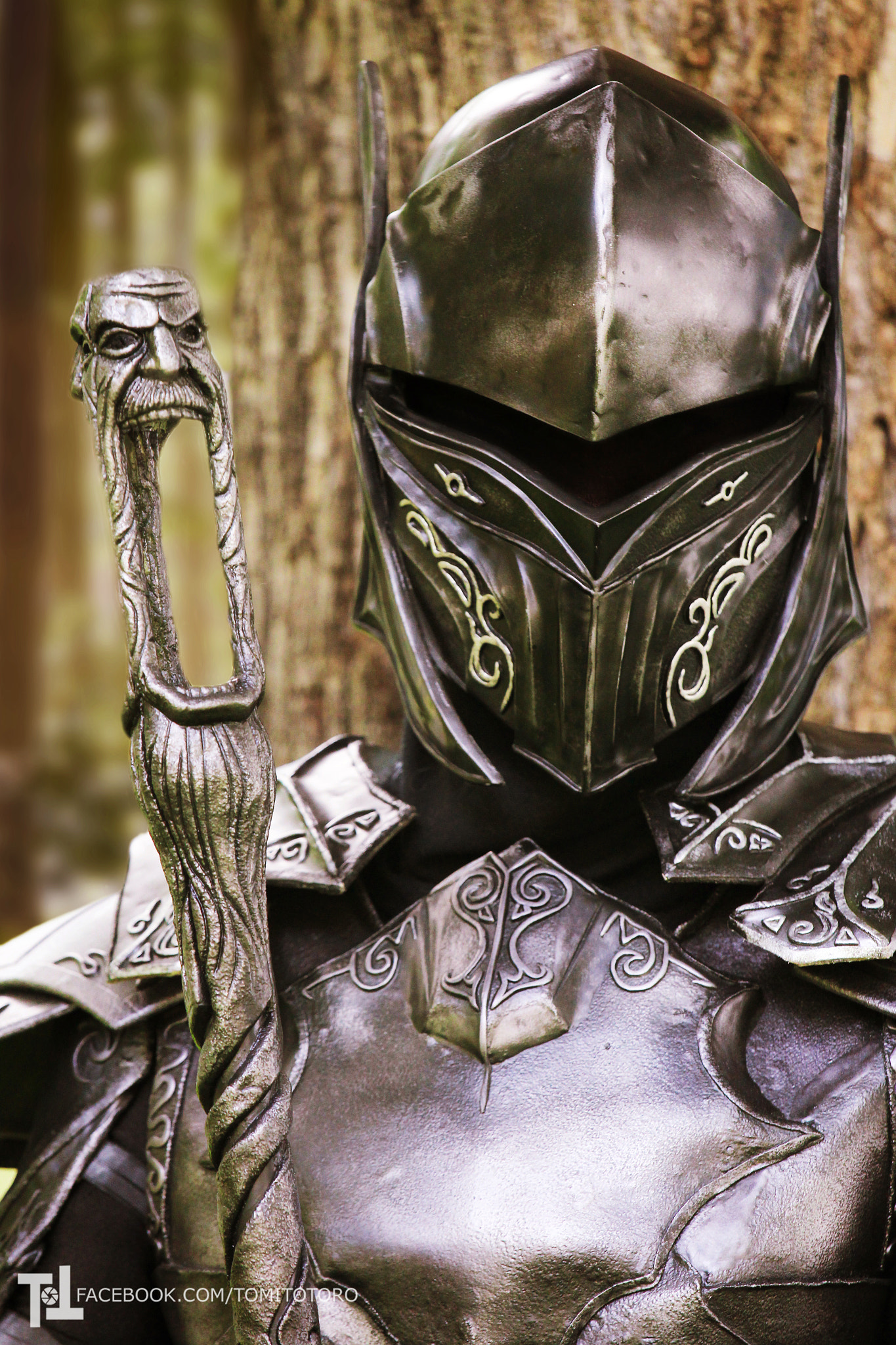 Warrior - The Elder Scrolls V Skyrim