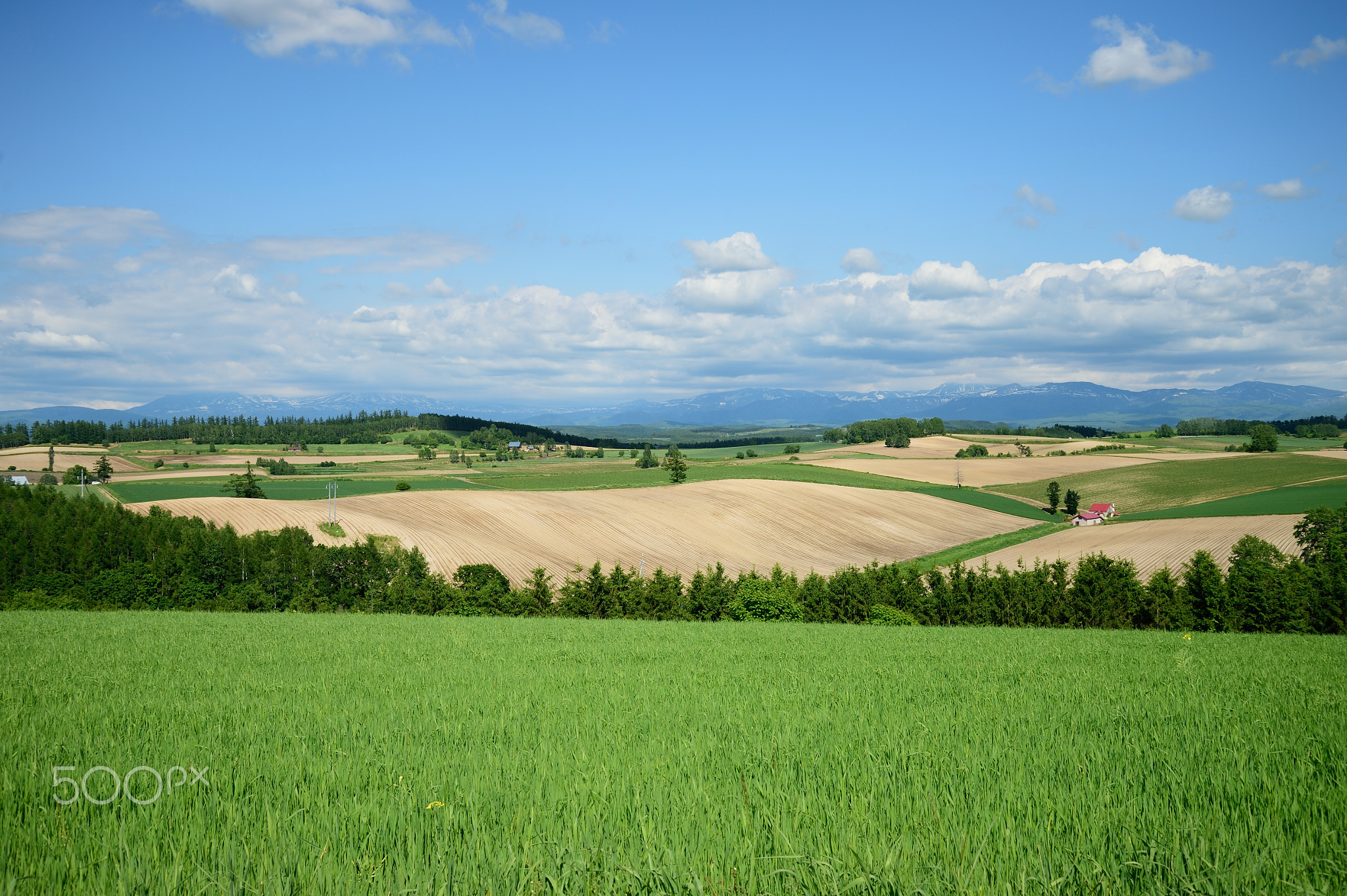 Hilly areas