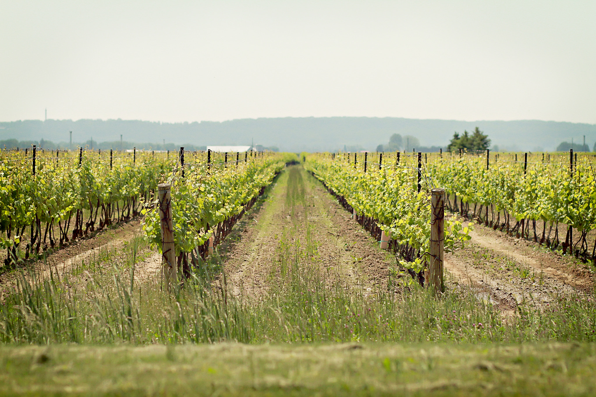 v2?sig=a09740bc1d606ecdc8fefe2c0d58599a5