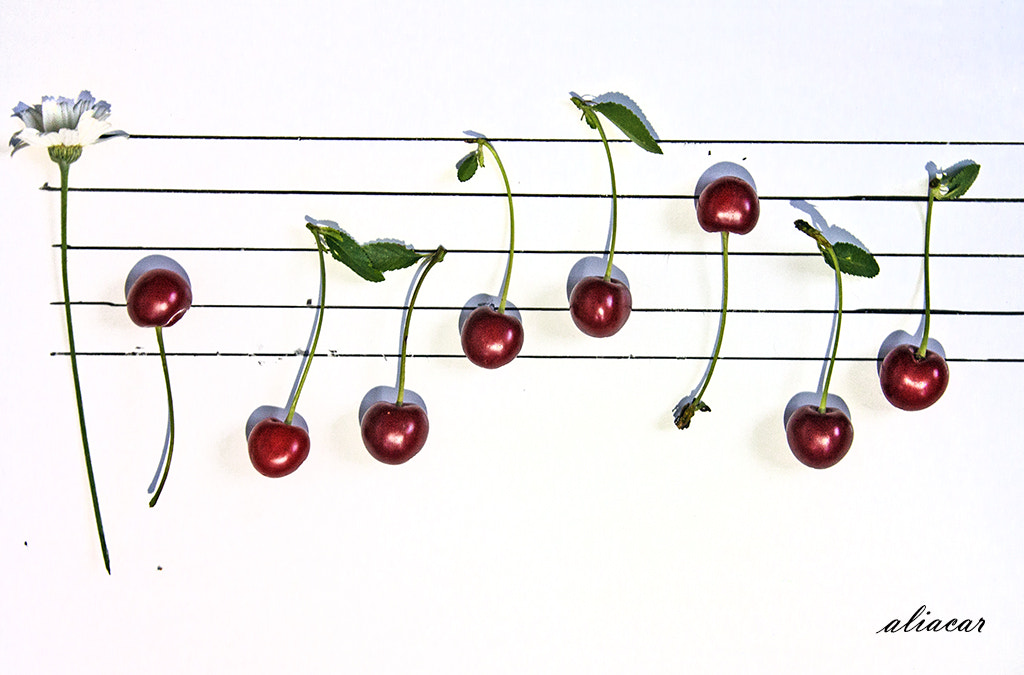 v2?sig=37aa39c0bfde52f292f4caa6d984839de86bd7acb98a0c385c8c0357e51a60e3