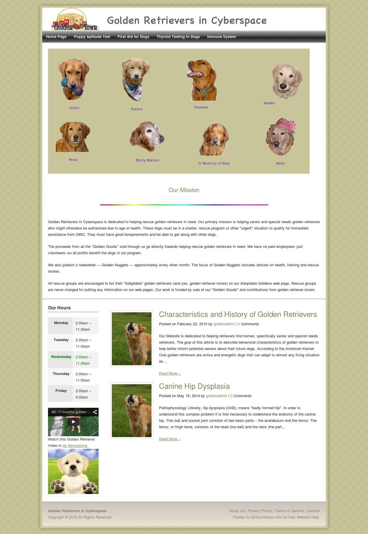 Informations Related To Golden Retrievers