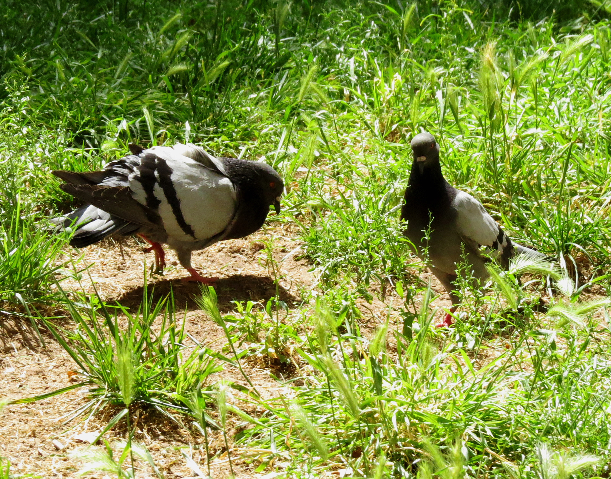 Forget about it - I'm not into guys