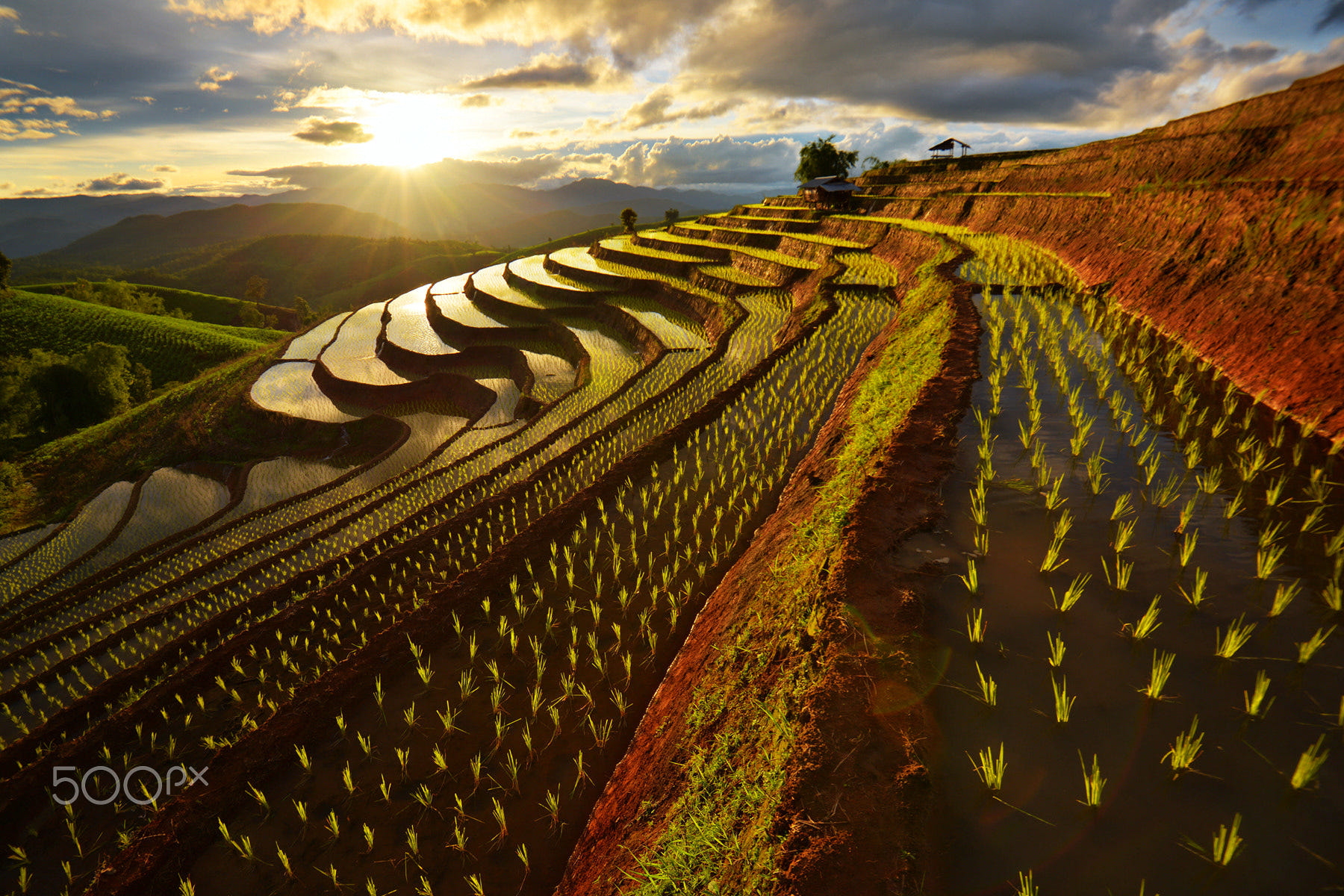 Chiang Mai rice terrace by Wanasapong Jaiinpol Photo 113501895 / 500px