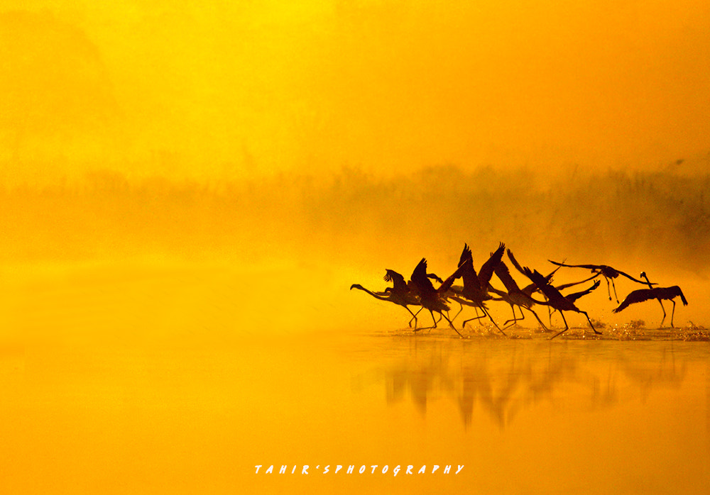 Colors of Nature by Nature images on 500px.com