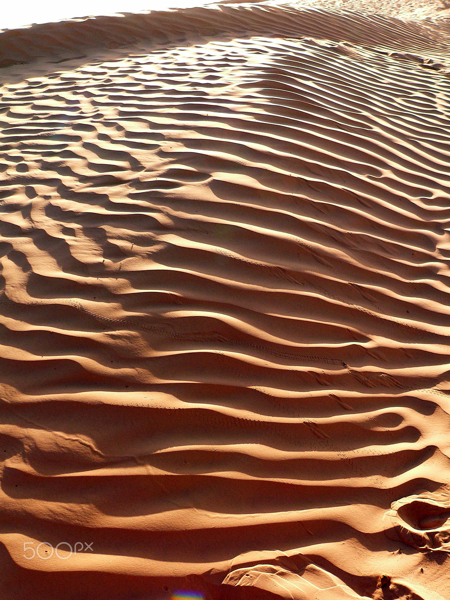 Waves in the desert of Tunisia