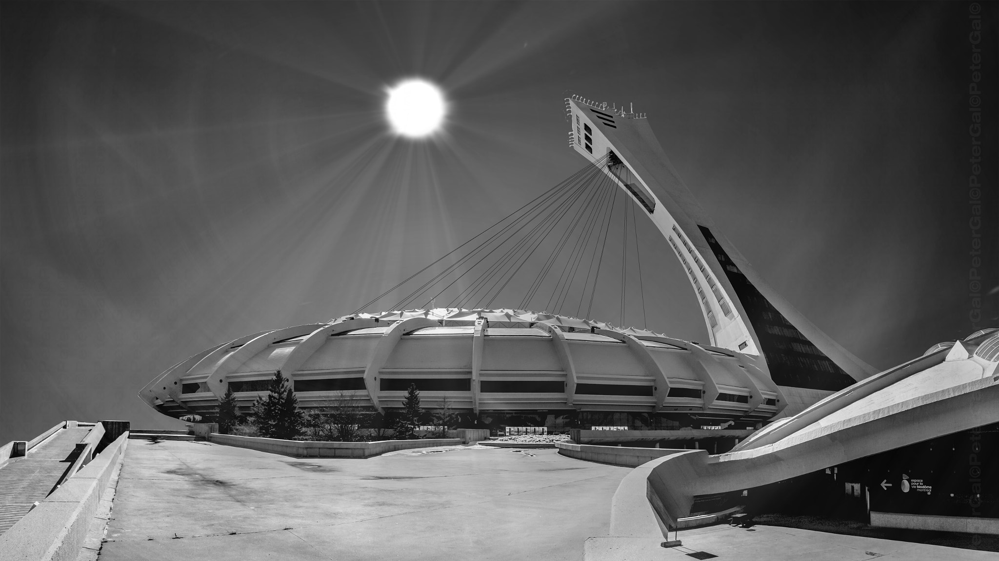Montreal Olympic Stadium