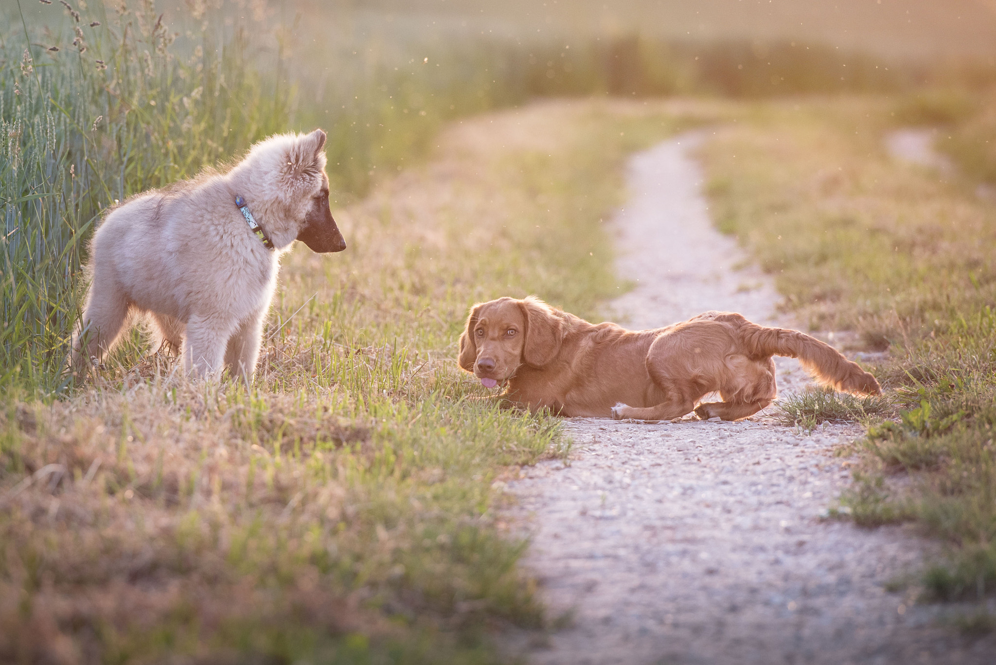 first summer