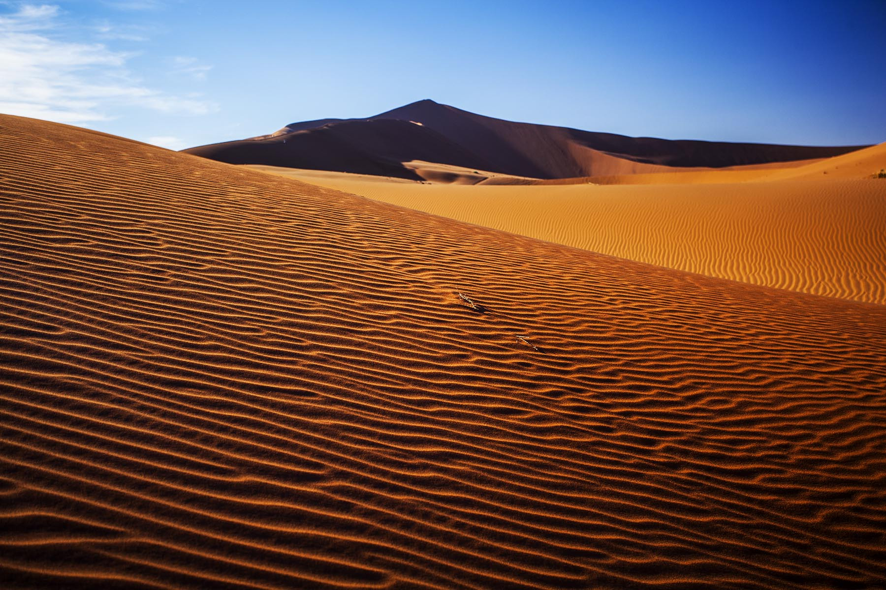 Sand Dune Ripples By M&m Photo Tours, Inc.   500px