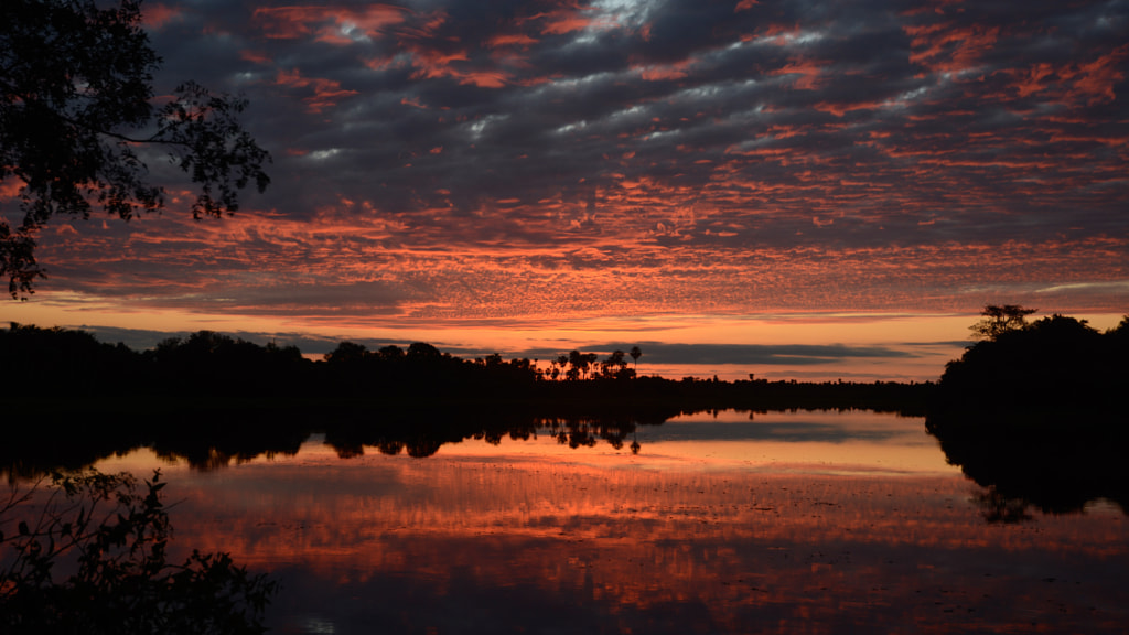 Fleuve de feu by Pierronimo on 500px.com
