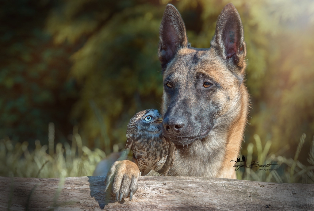 Special by Tanja Brandt on 500px.com