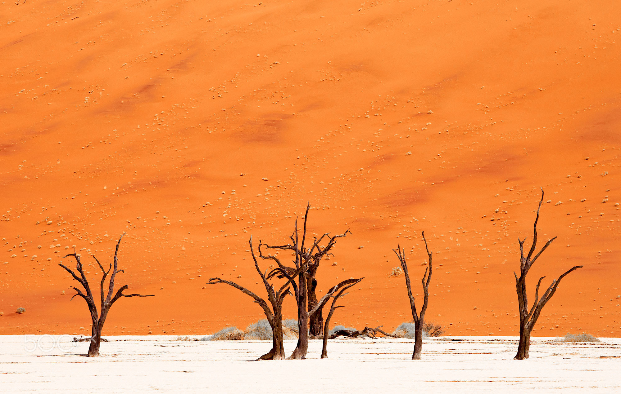 Colors of Dead Vlei