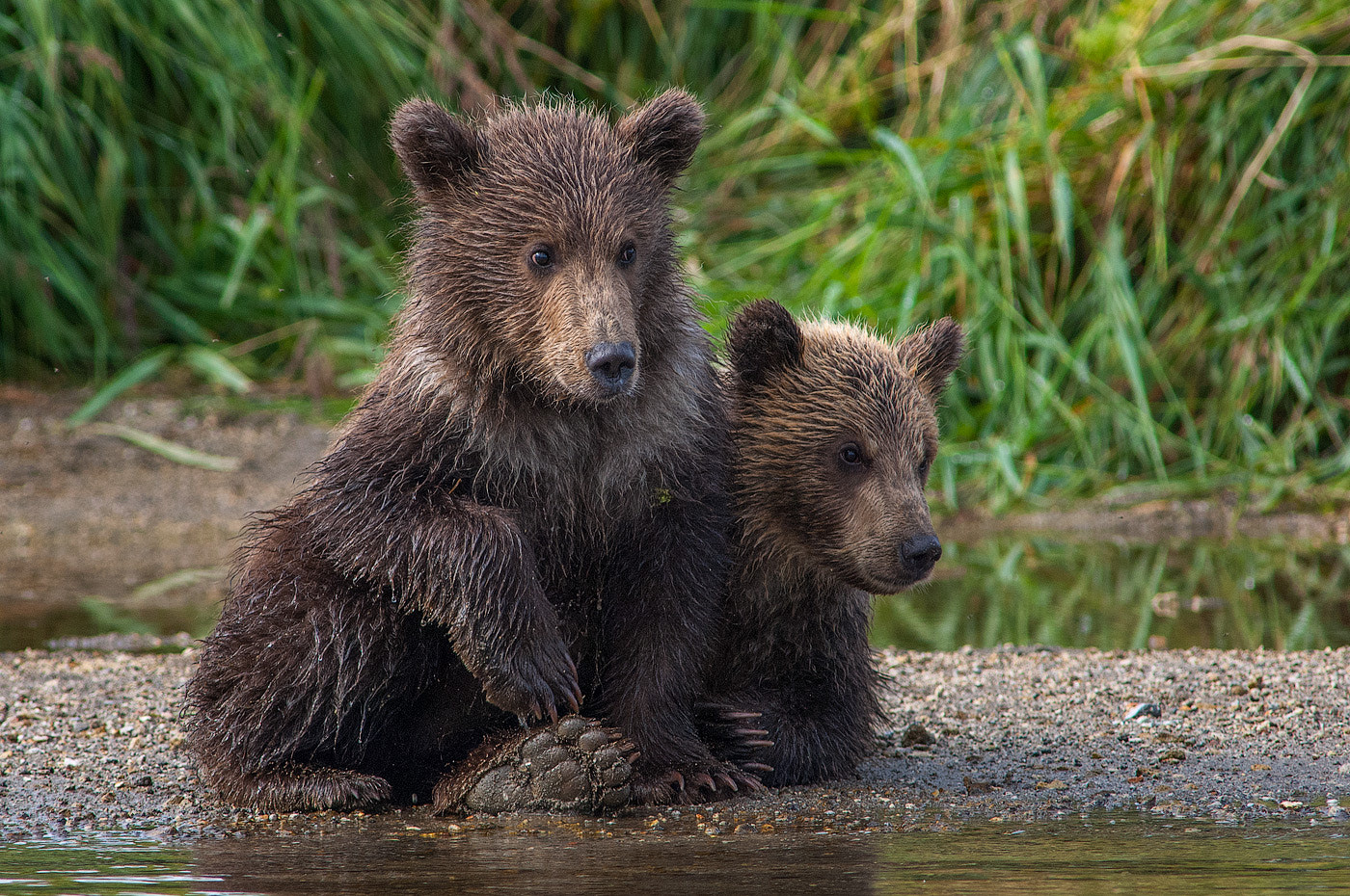 Brothers by Sergey Ivanov / 500px