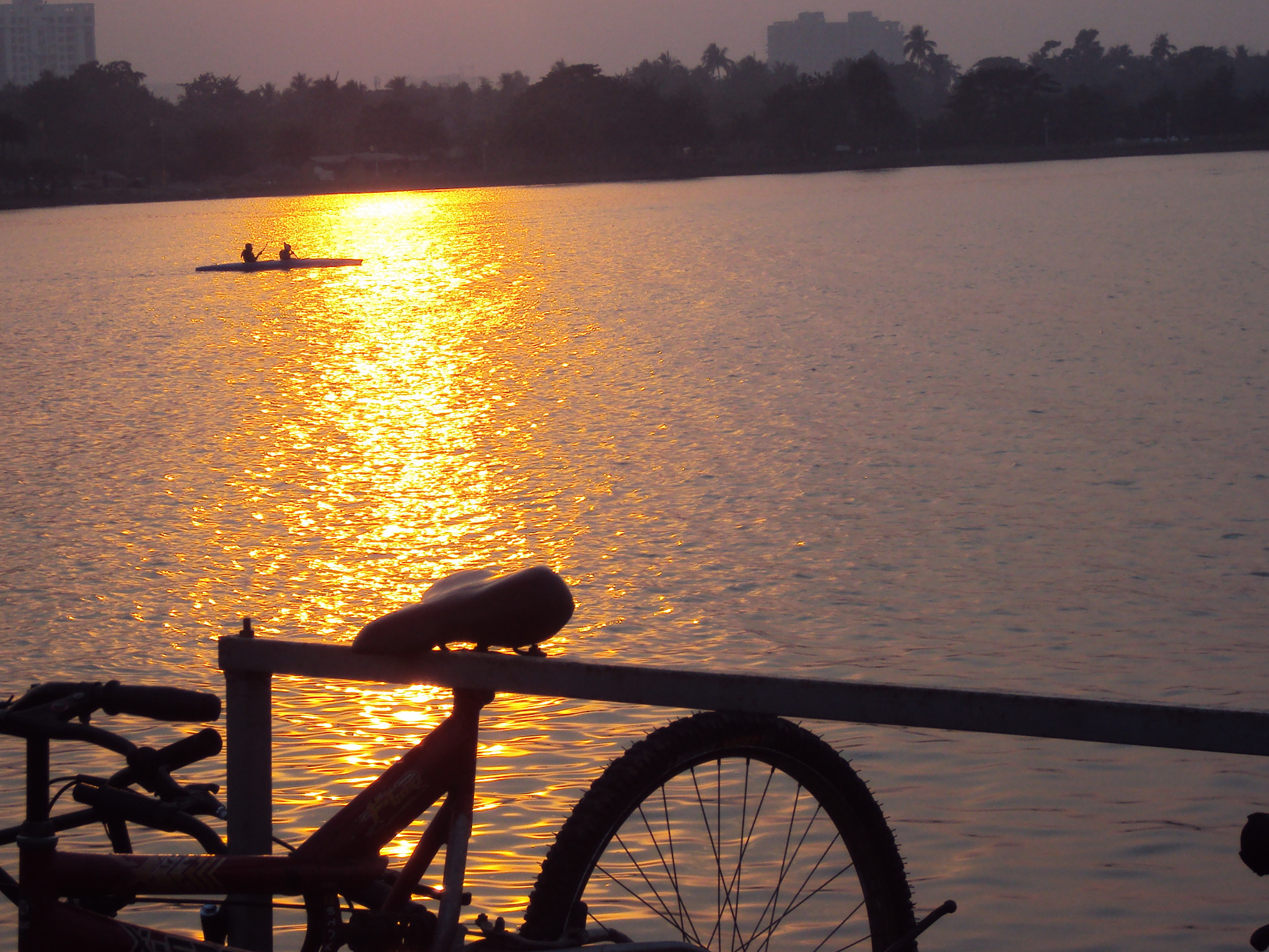 Crossing the sun-bathed water