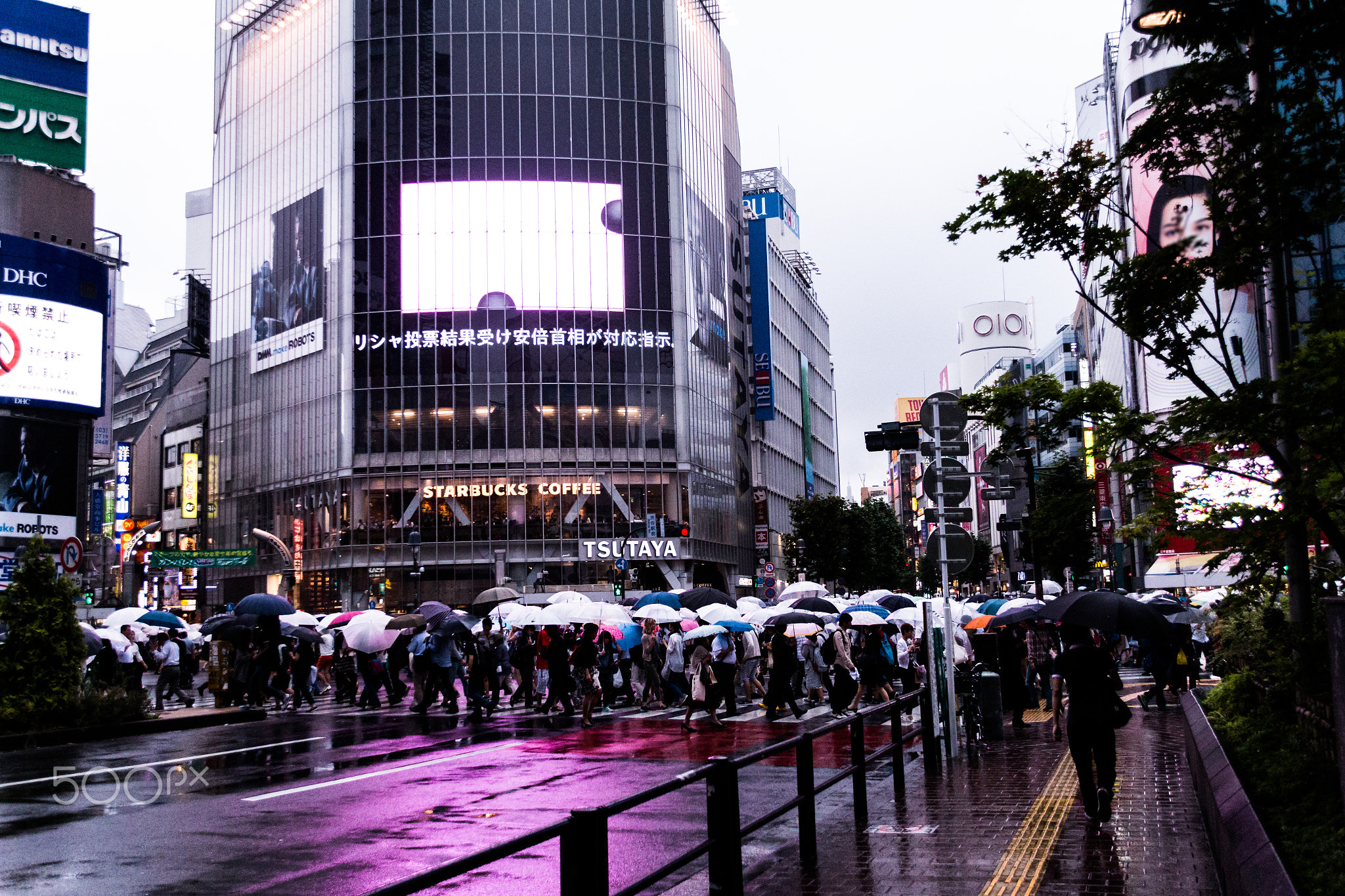 Rain - https://500px.com/photo/114603773/