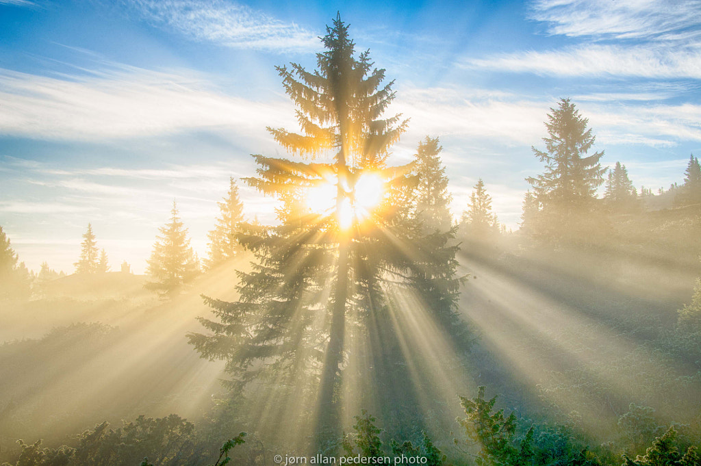 triple natural filter by Jørn Allan Pedersen on 500px.com