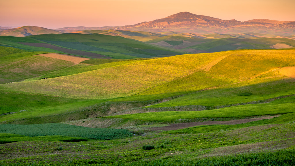 green fields by Andrei Botnari on 500px.com