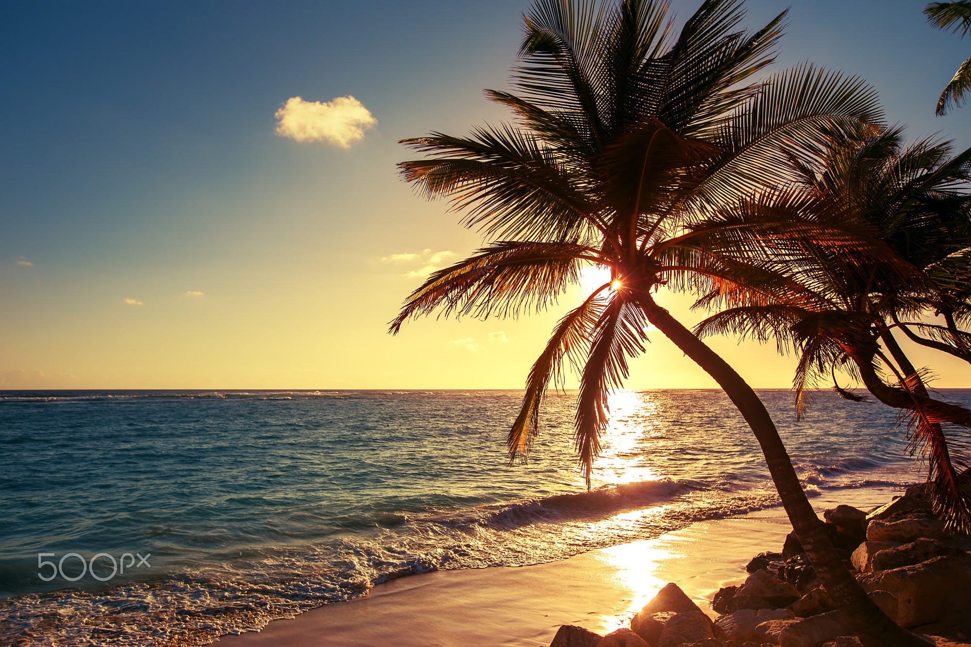 Palm tree on the tropical beach by Valentin Valkov Photo 114994391
