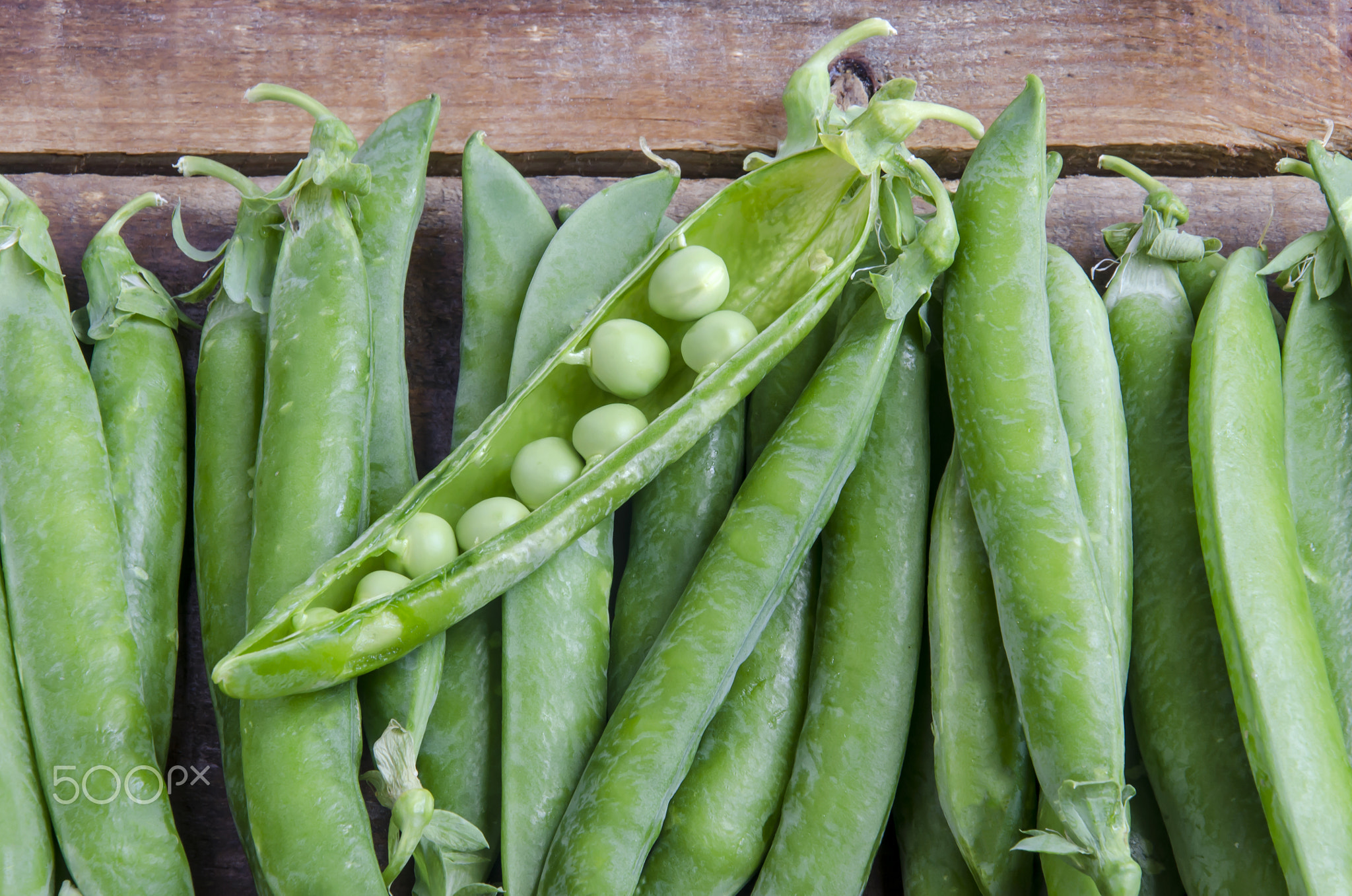 Fresh pea pods