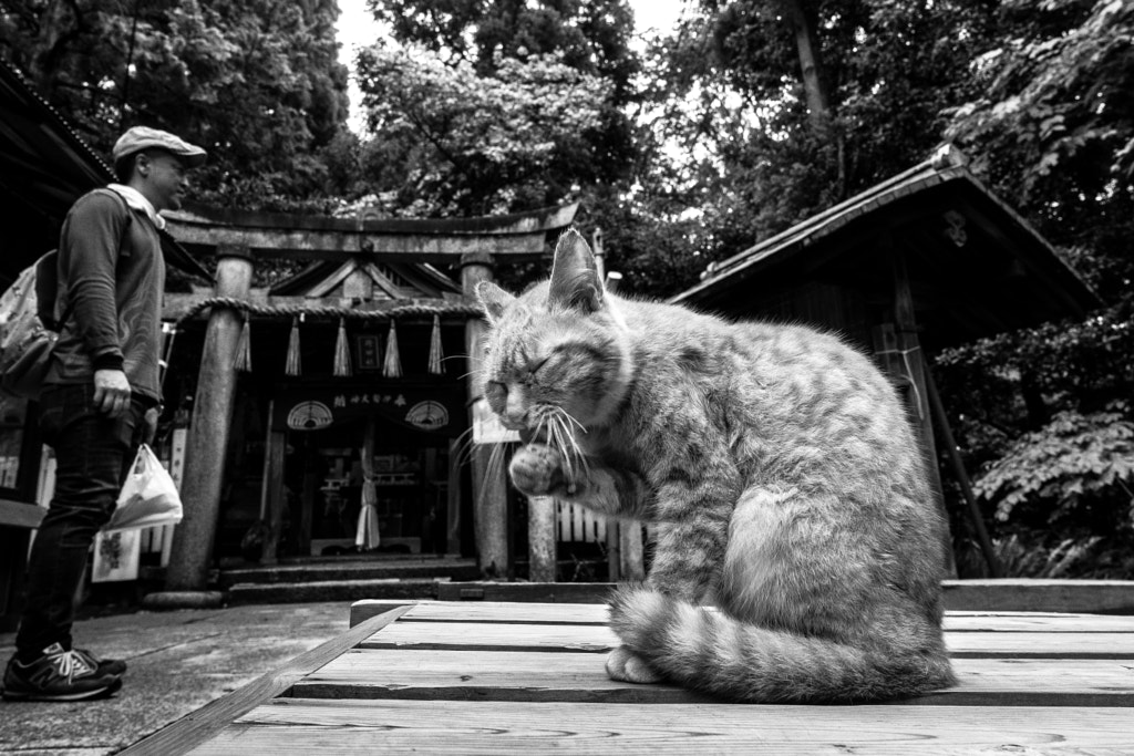 Break in a Shinto shrine by Hiroaki Kuroda on 500px.com