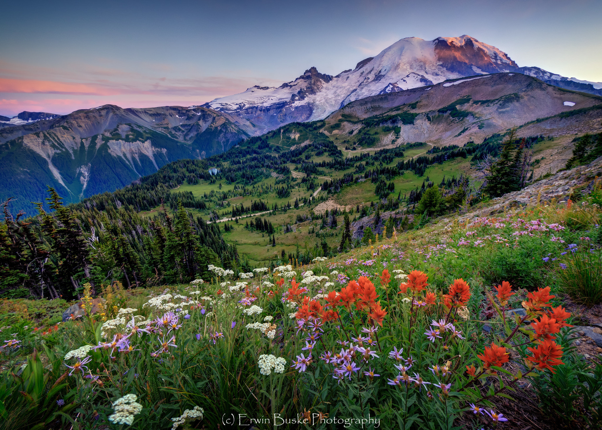 Mt. Rainier Bouquet by Erwin Buske / 500px