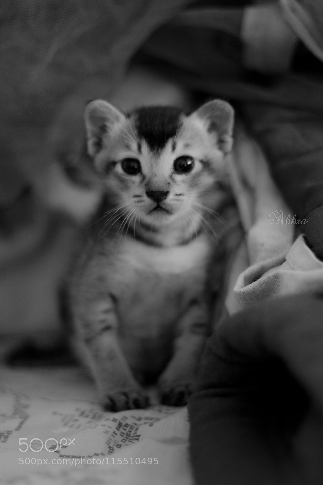 Canon EOS 7D sample photo. Untitled photography