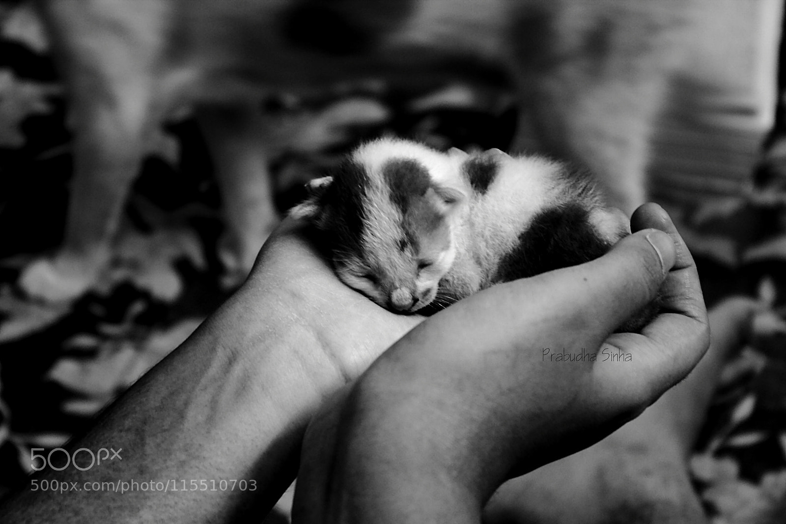 Canon EOS 7D sample photo. Untitled photography
