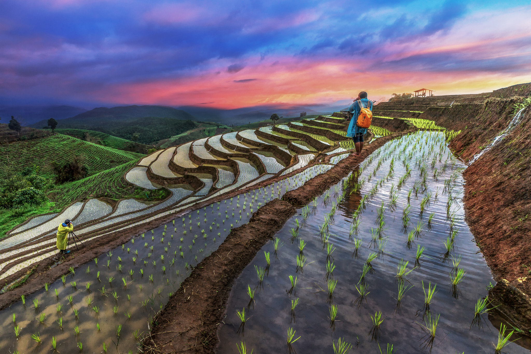 Step field in Chiang Mai Thailand. by Jakkree Thampitakkul - Photo ...