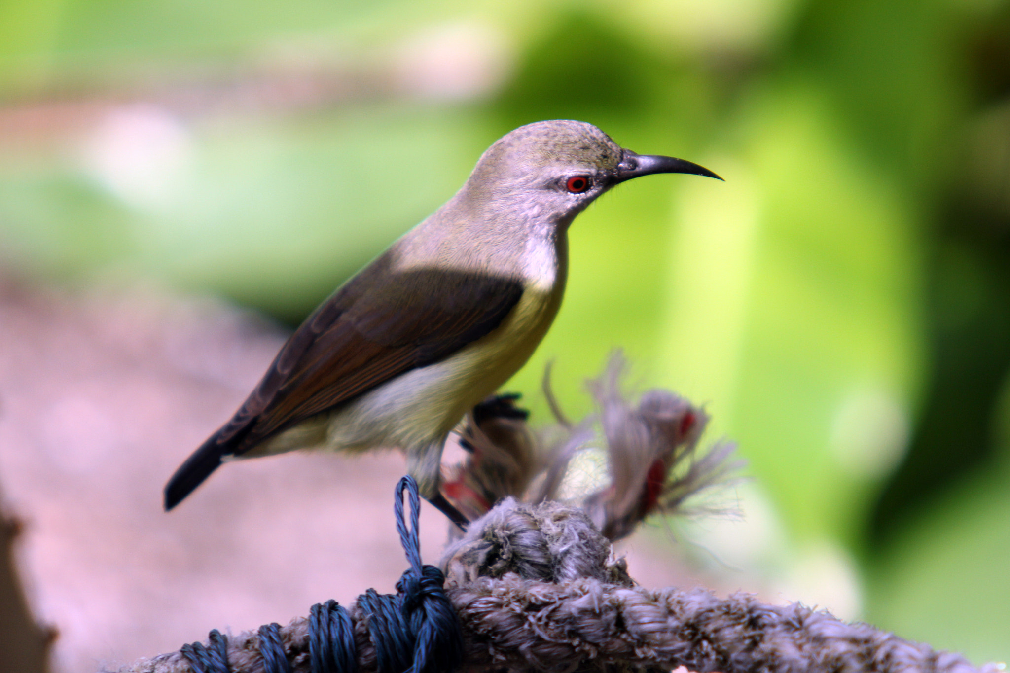 v2?sig=aaa73f181c50e433a48f286021dcf5f59a12f1e9816dce48838ae1a85564dbf2