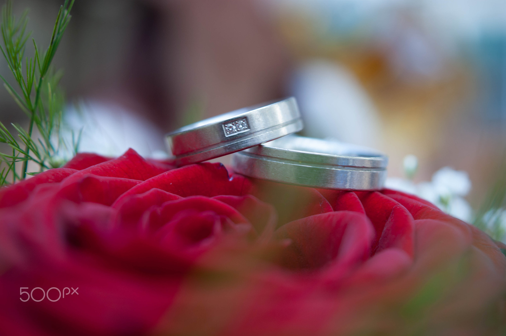 Wedding Rings