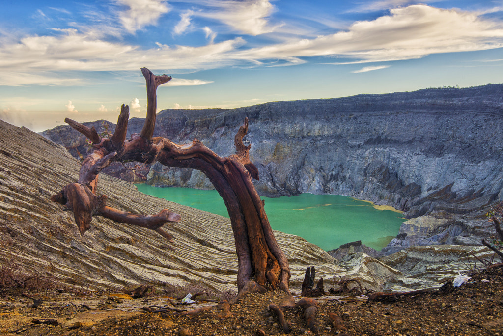 Wooden Snake of Ijen Crater by Kristianus Setyawan on 500px.com