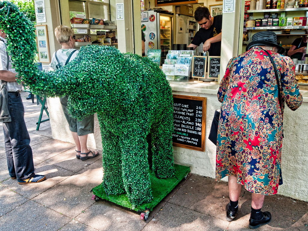The Elephant in the Tearoom by Paul Amyes on 500px.com