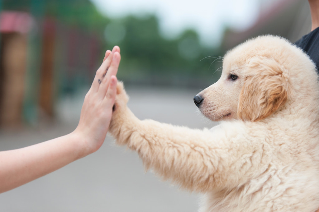 give me five by zhao hui on 500px.com