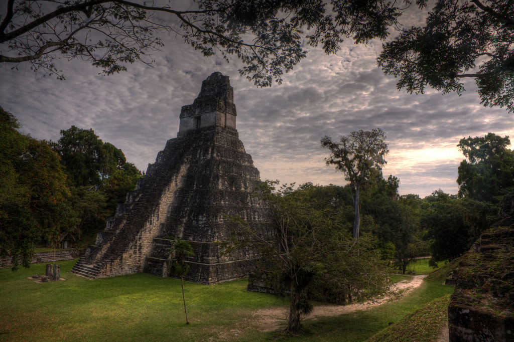 Photograph Tikal Guatemala by Wayne Harney on 500px