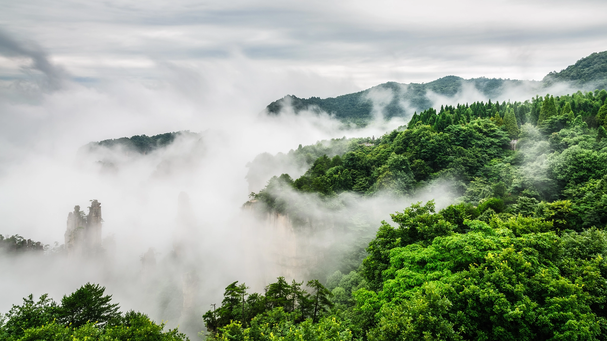 Mt. Tianzi