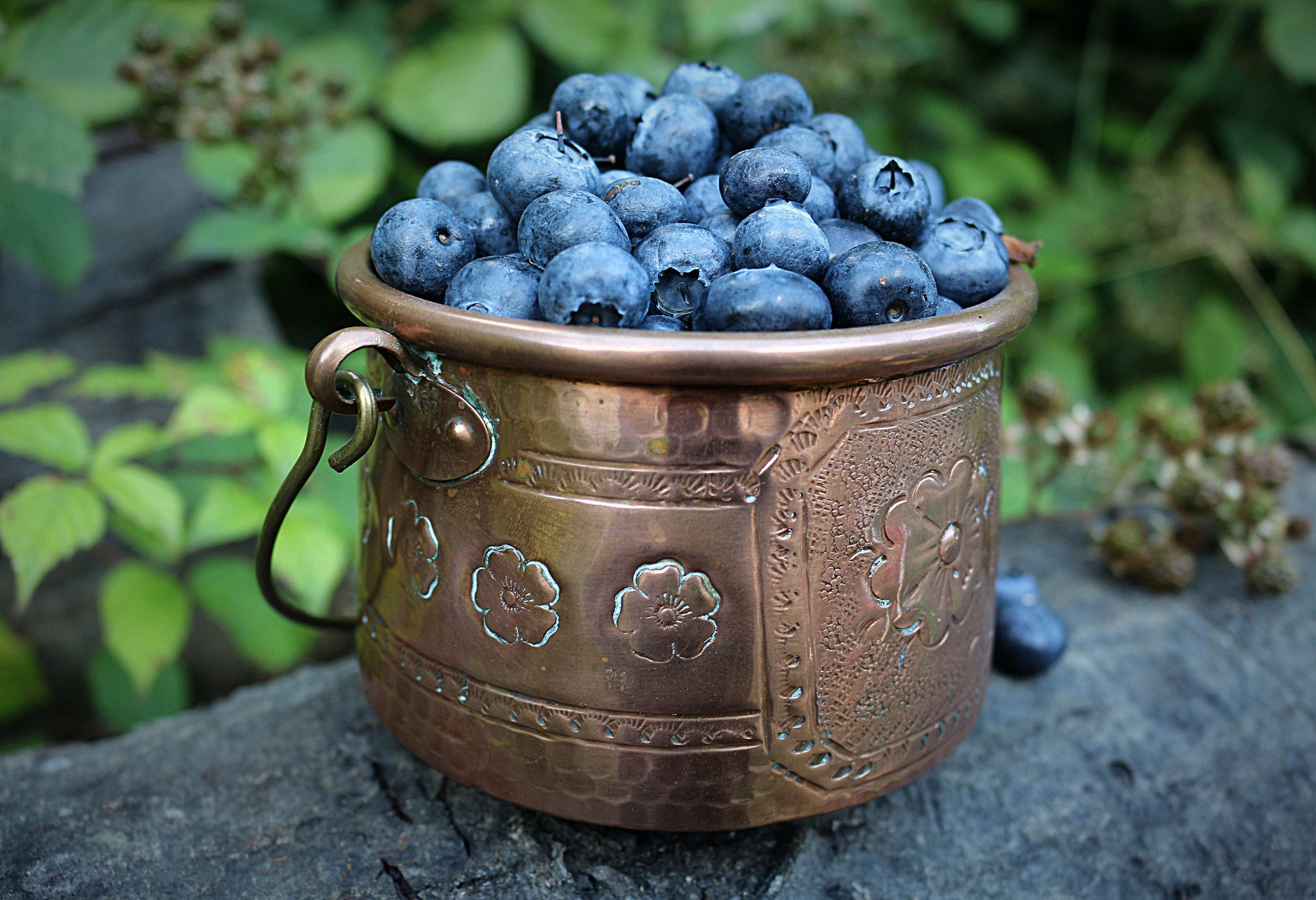 Antique French Pot Full of Blueberries