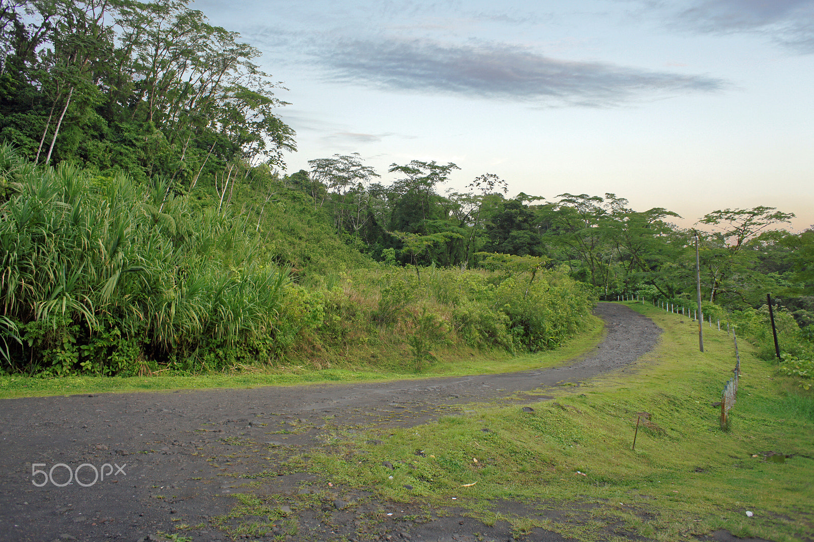 Sony Alpha NEX-3 sample photo. Impressions from costa rica photography