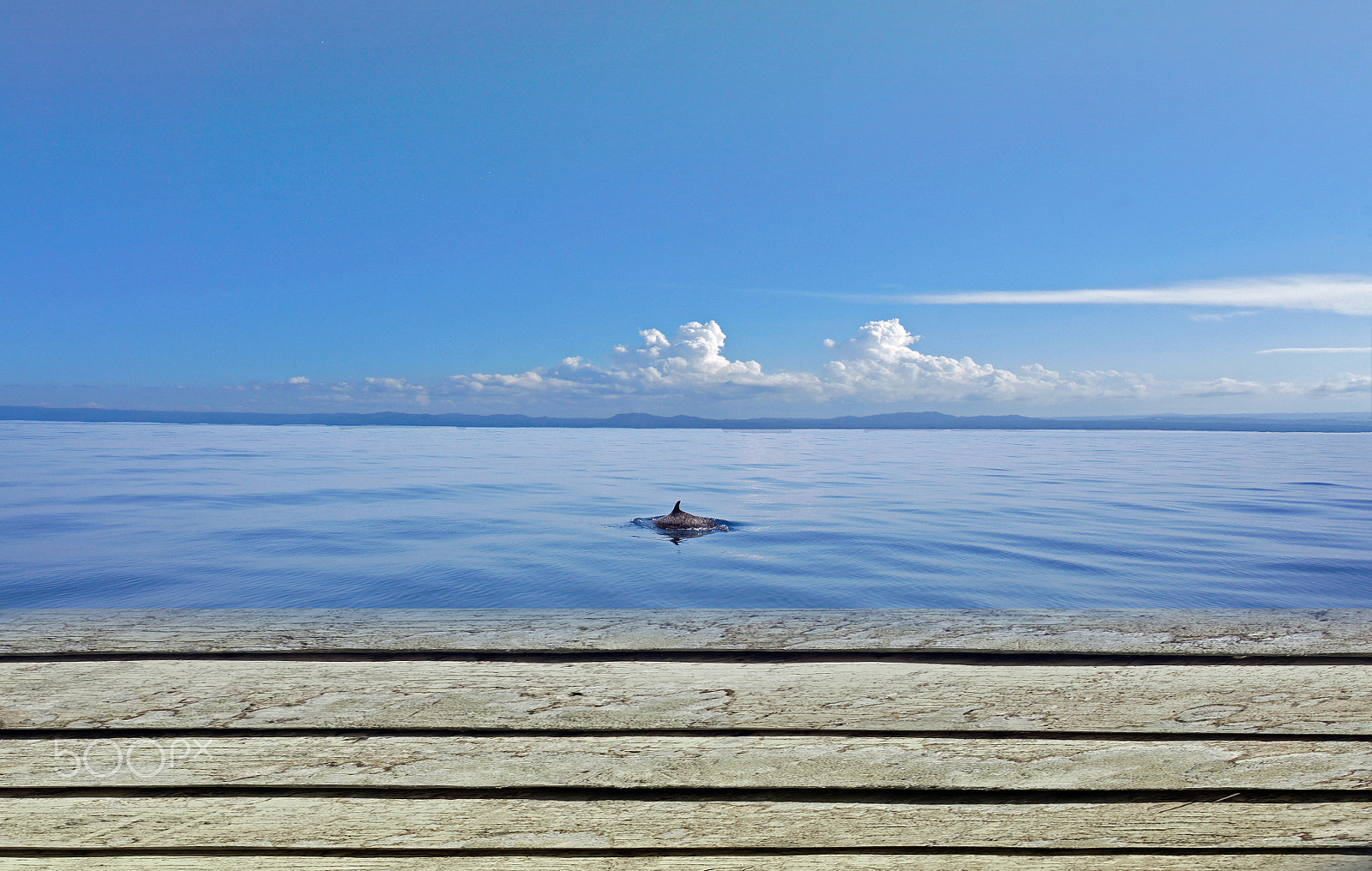 Sony Alpha NEX-3 sample photo. Into the blue photography