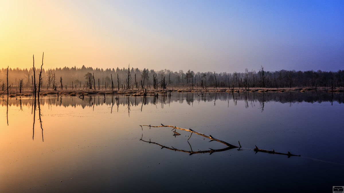 v2?sig=cafa48b2bc6cba9aa9c96487ca65a271ccd7b17a7d9e05e0f8af2212742ad267