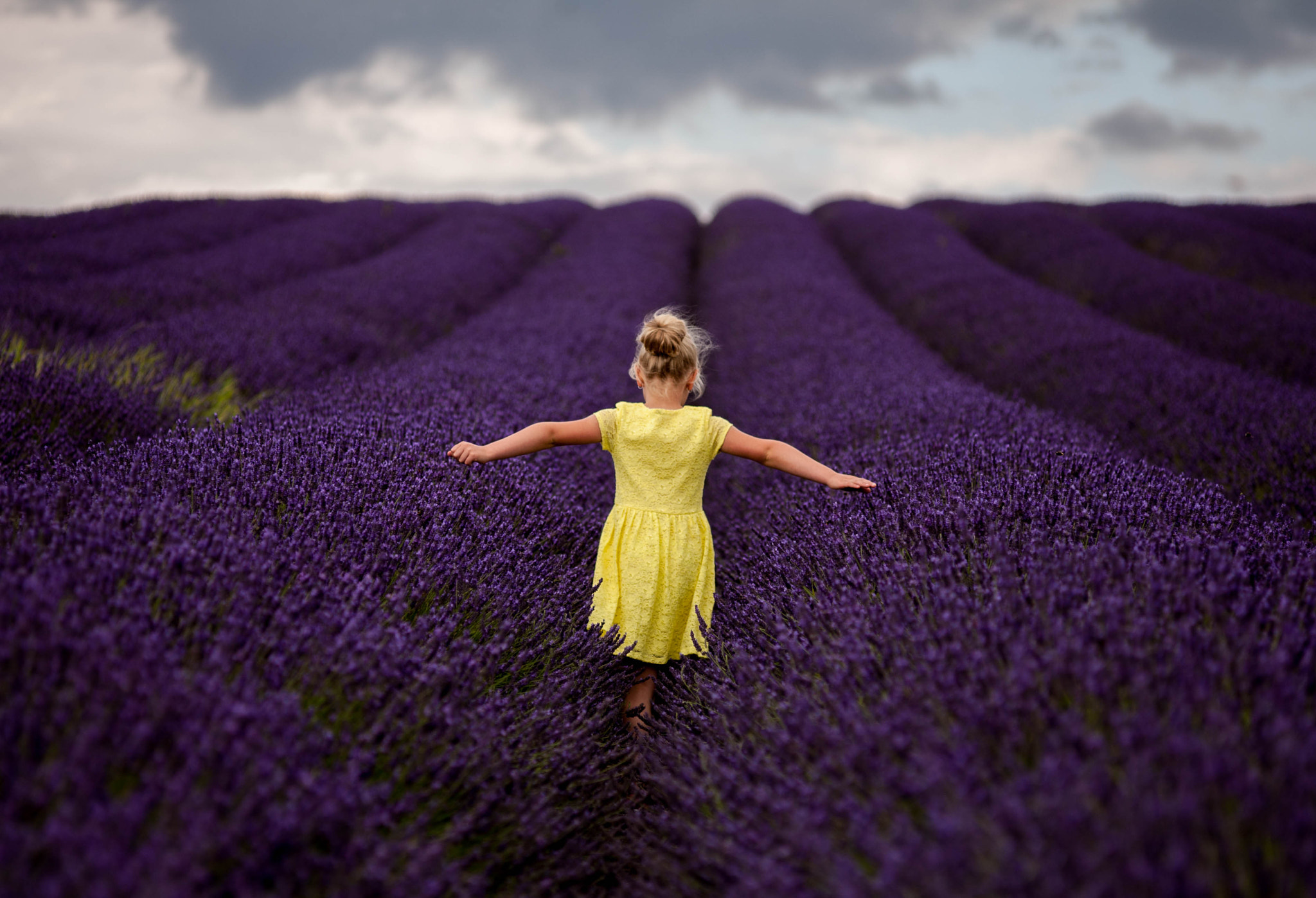 Lavender walk