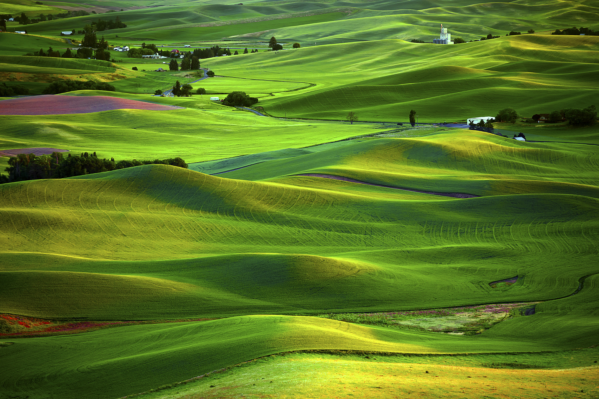 Washington State, Palouse Region, Steptoe Butte St by ya zhang / 500px