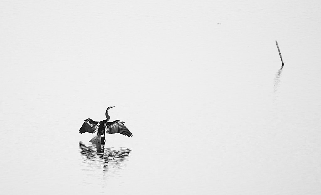 Zen by Marco Parenti on 500px.com