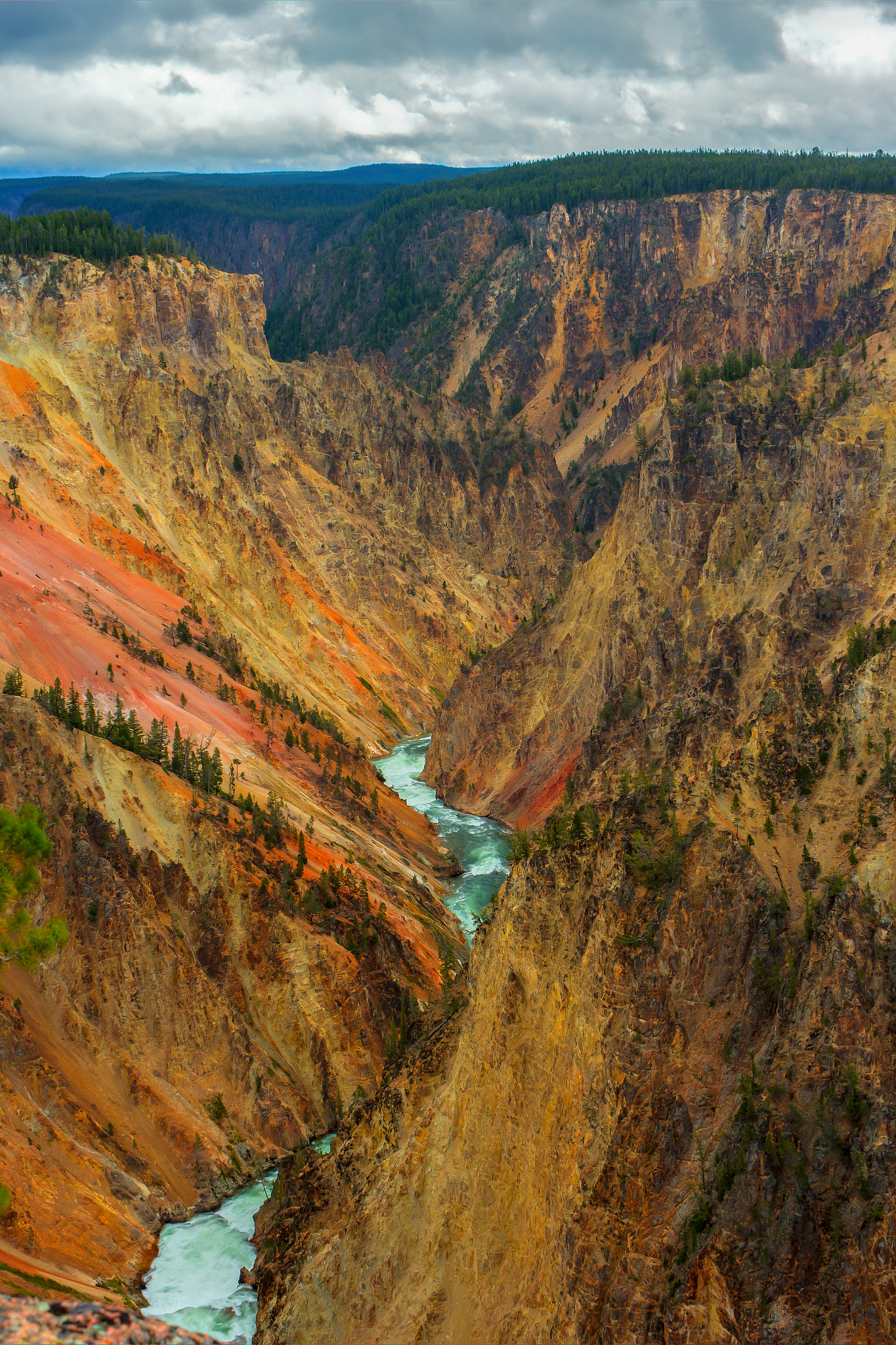 The Grand Canyon of Yellowstone
