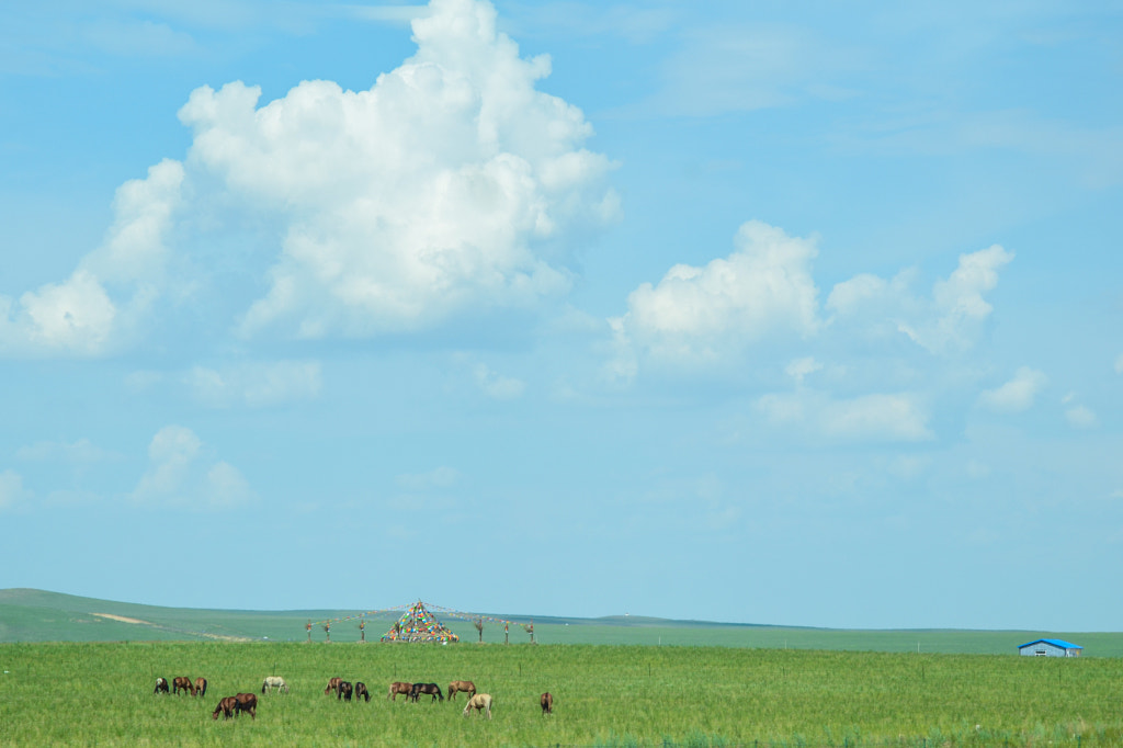 Blue and green by Roy Cheung on 500px.com