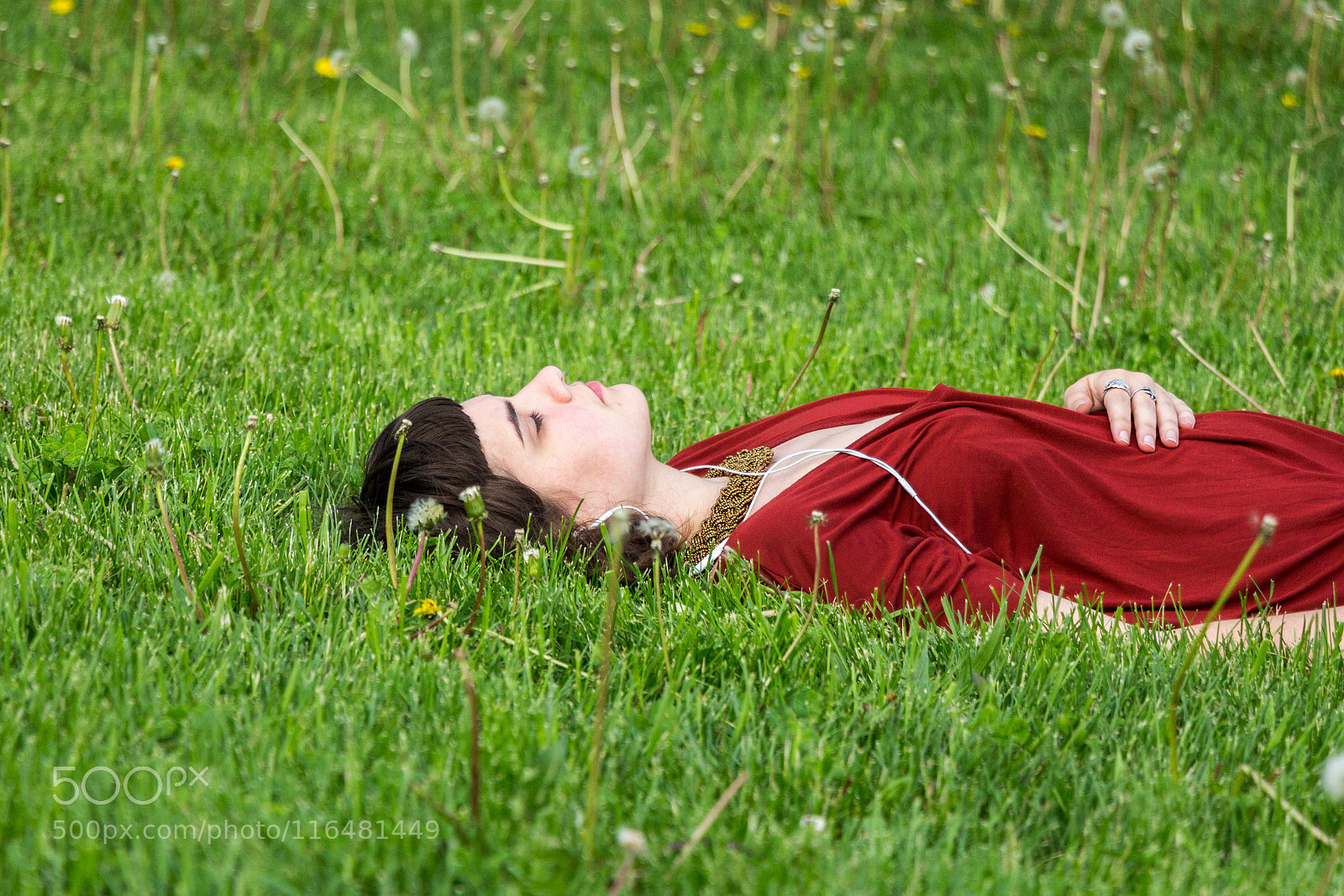 Canon EOS 60D sample photo. 136/365: blissful afternoon photography